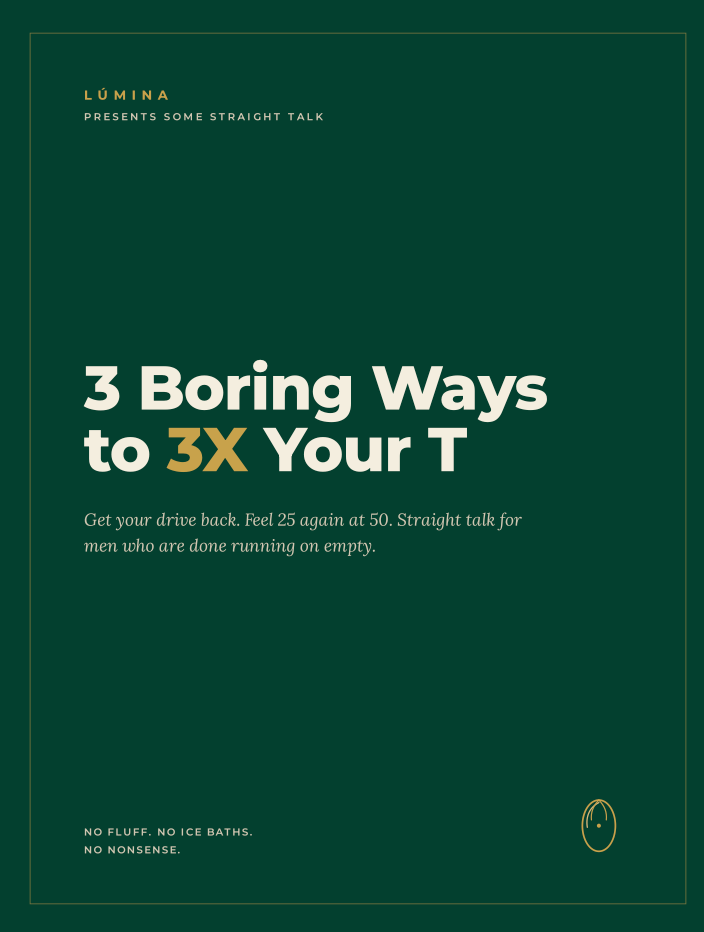3 Boring Ways to 3X Your T - E Book